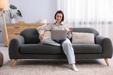 Photo of Smiling woman having videochat by laptop and cat on sofa in home office