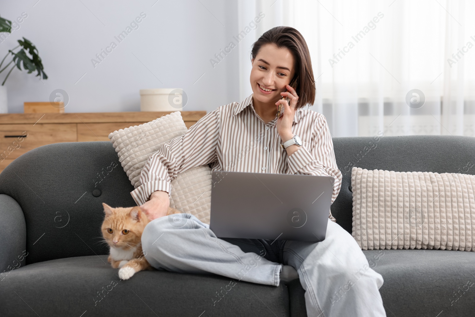 Smiling woman talking by smartphone with laptop and cat on sofa in home office Photo of Smiling woman talking by smartphone with laptop and cat on sofa in home office