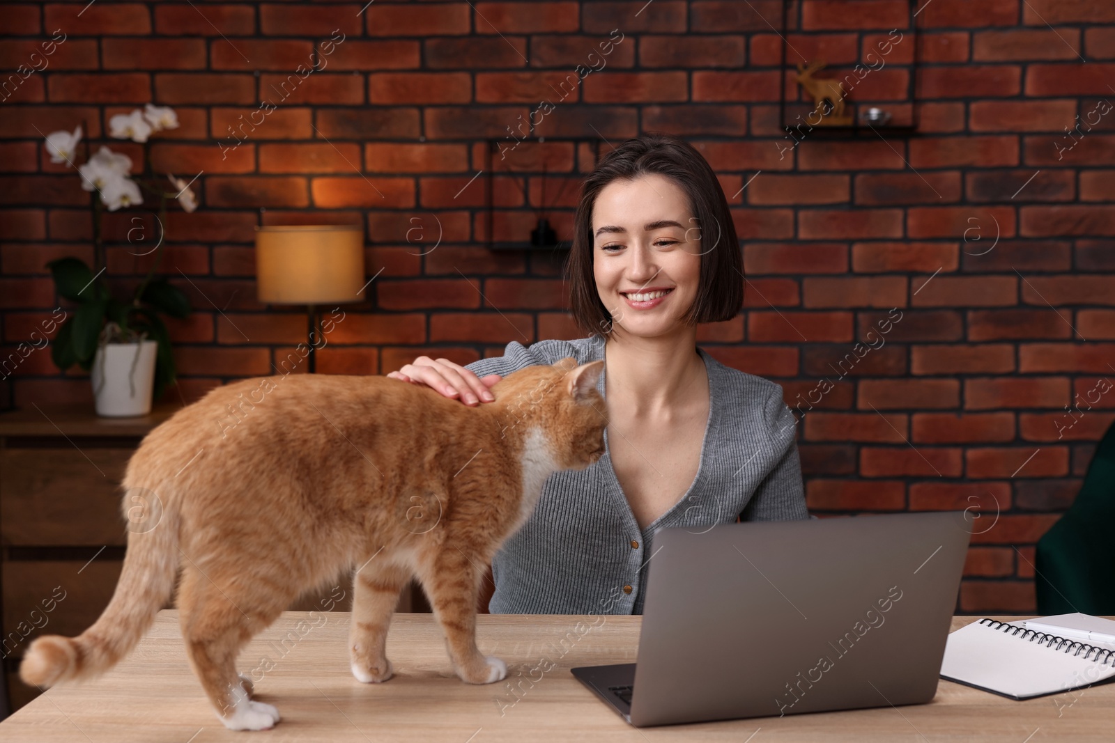 Smiling woman stroking cat at desk in home office Photo of Smiling woman stroking cat at desk in home office