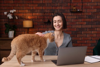 Photo of Smiling woman stroking cat at desk in home office