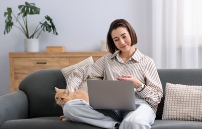 Photo of Woman having videochat by laptop and cat on sofa in home office