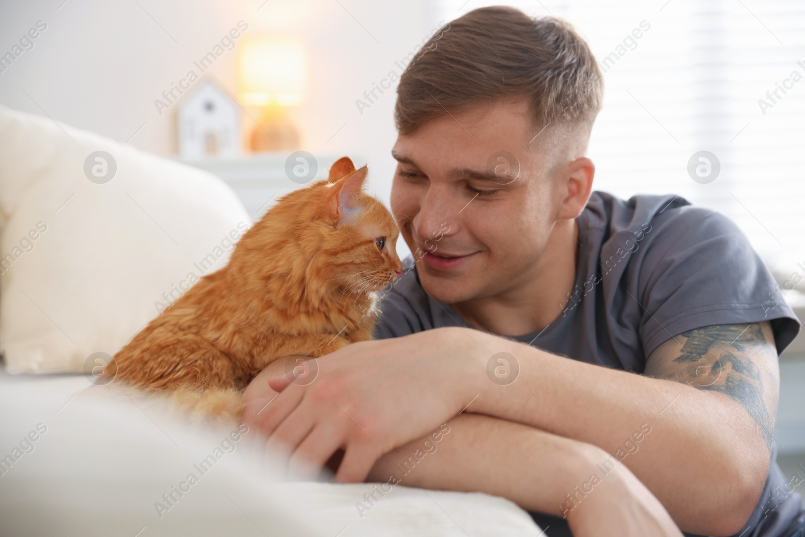 Man with cute ginger cat on sofa at home Photo of Man with cute ginger cat on sofa at home