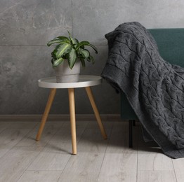 Photo of Woolen plaid on sofa and plant at home