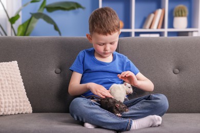 Photo of Little boy with his pet rats on sofa at home