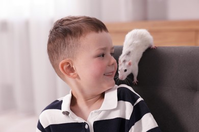 Photo of Little boy with his pet rat on sofa at home