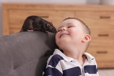 Photo of Little boy with his pet rat on armchair at home