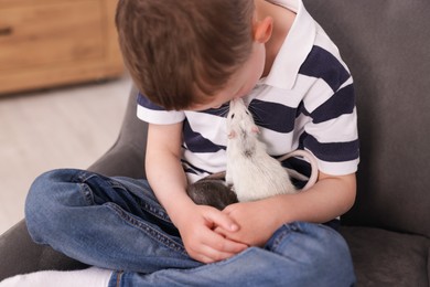 Photo of Little boy with his pet rats on armchair at home