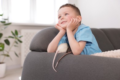 Photo of Little boy with his pet rats on sofa at home