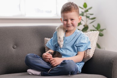 Photo of Little boy with his pet rats on sofa at home. Space for text