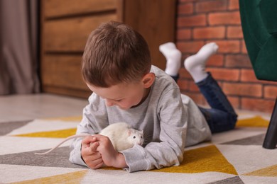 Photo of Little boy with his pet rat on floor at home