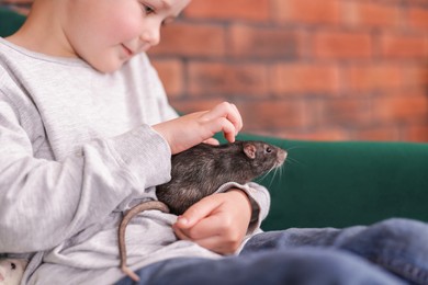Photo of Little boy with his pet rat on sofa at home, closeup. Space for text