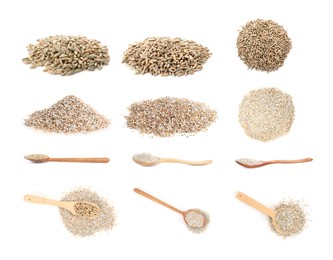 Image of Rye bran and grains isolated on white, collage