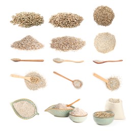 Image of Rye bran and grains isolated on white, collage