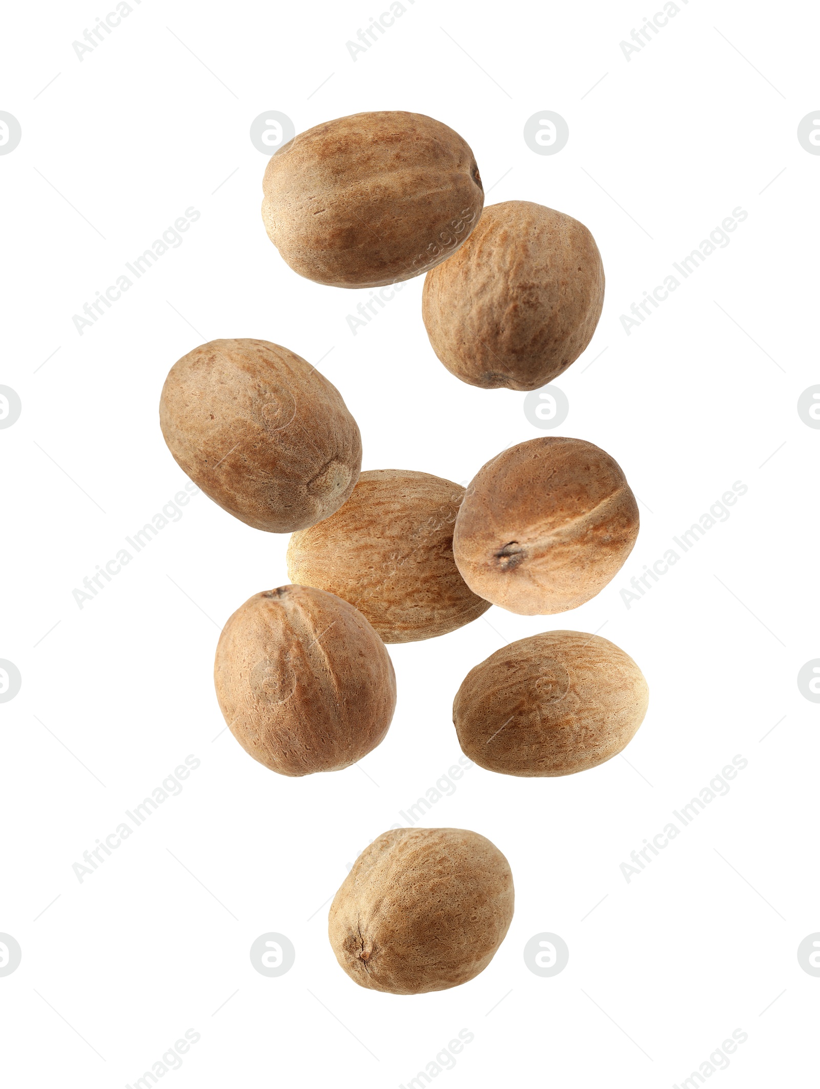 Aromatic nutmeg seeds falling on white background Image of Aromatic nutmeg seeds falling on white background