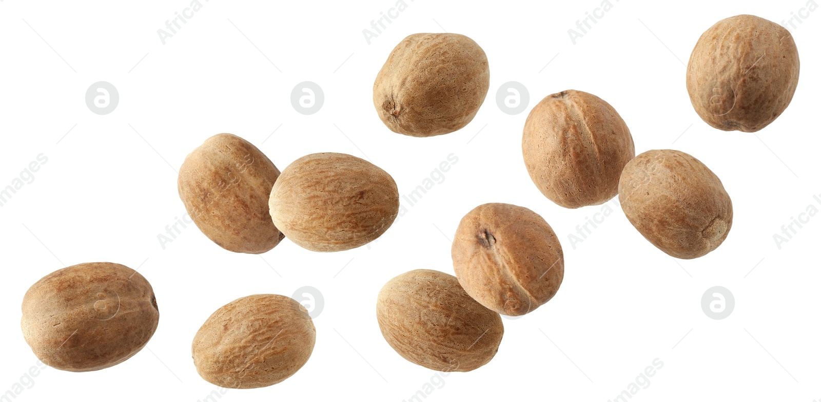 Aromatic nutmeg seeds falling on white background Image of Aromatic nutmeg seeds falling on white background