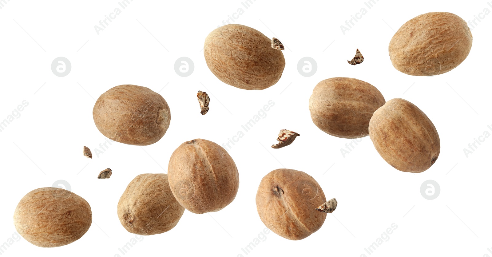 Aromatic nutmeg seeds and pieces falling on white background Image of Aromatic nutmeg seeds and pieces falling on white background