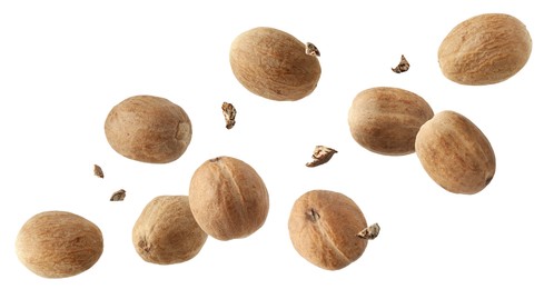 Image of Aromatic nutmeg seeds and pieces falling on white background