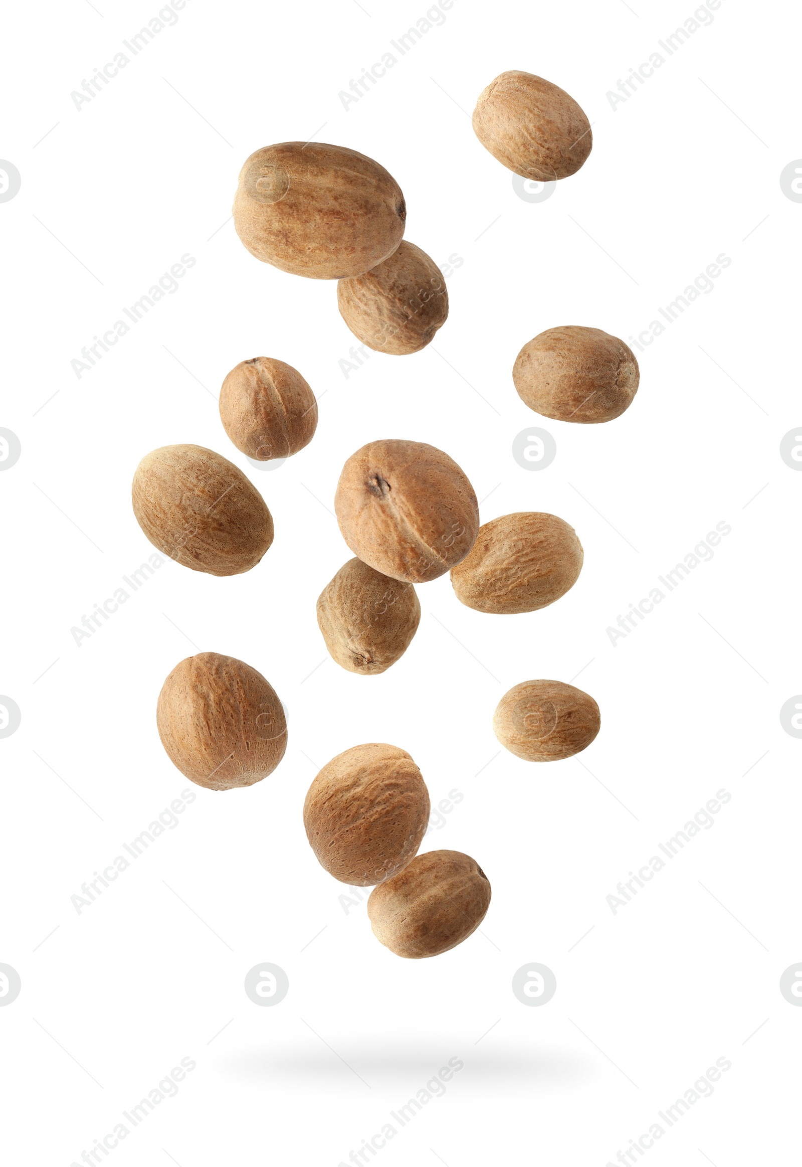 Aromatic nutmeg seeds falling on white background Image of Aromatic nutmeg seeds falling on white background