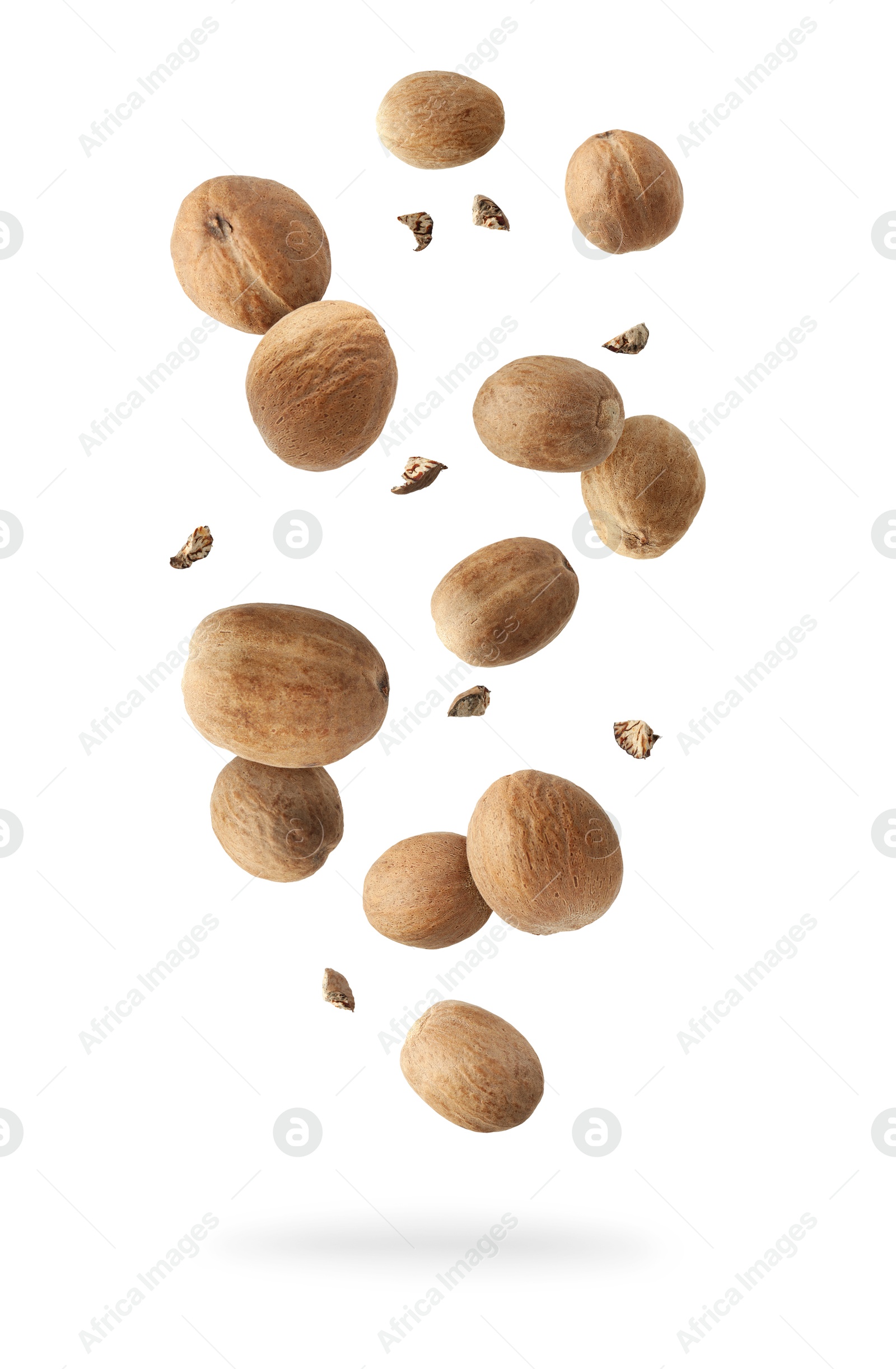 Aromatic nutmeg seeds and pieces falling on white background Image of Aromatic nutmeg seeds and pieces falling on white background