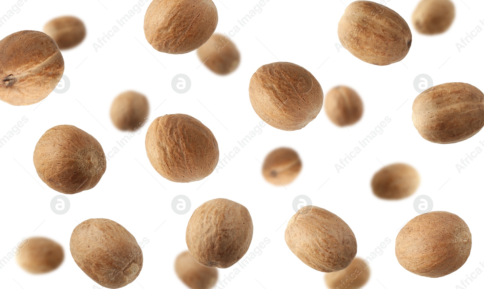 Aromatic nutmeg seeds falling on white background Image of Aromatic nutmeg seeds falling on white background