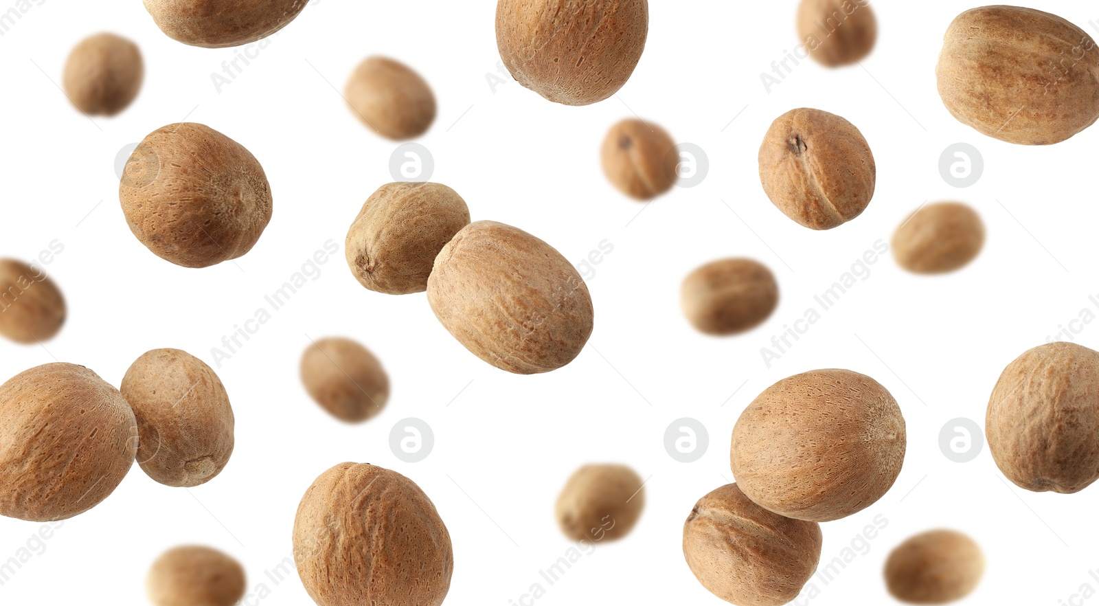 Aromatic nutmeg seeds falling on white background Image of Aromatic nutmeg seeds falling on white background