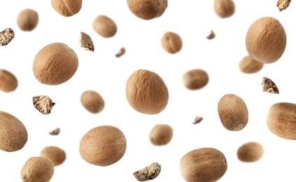 Image of Aromatic nutmeg seeds and pieces falling on white background