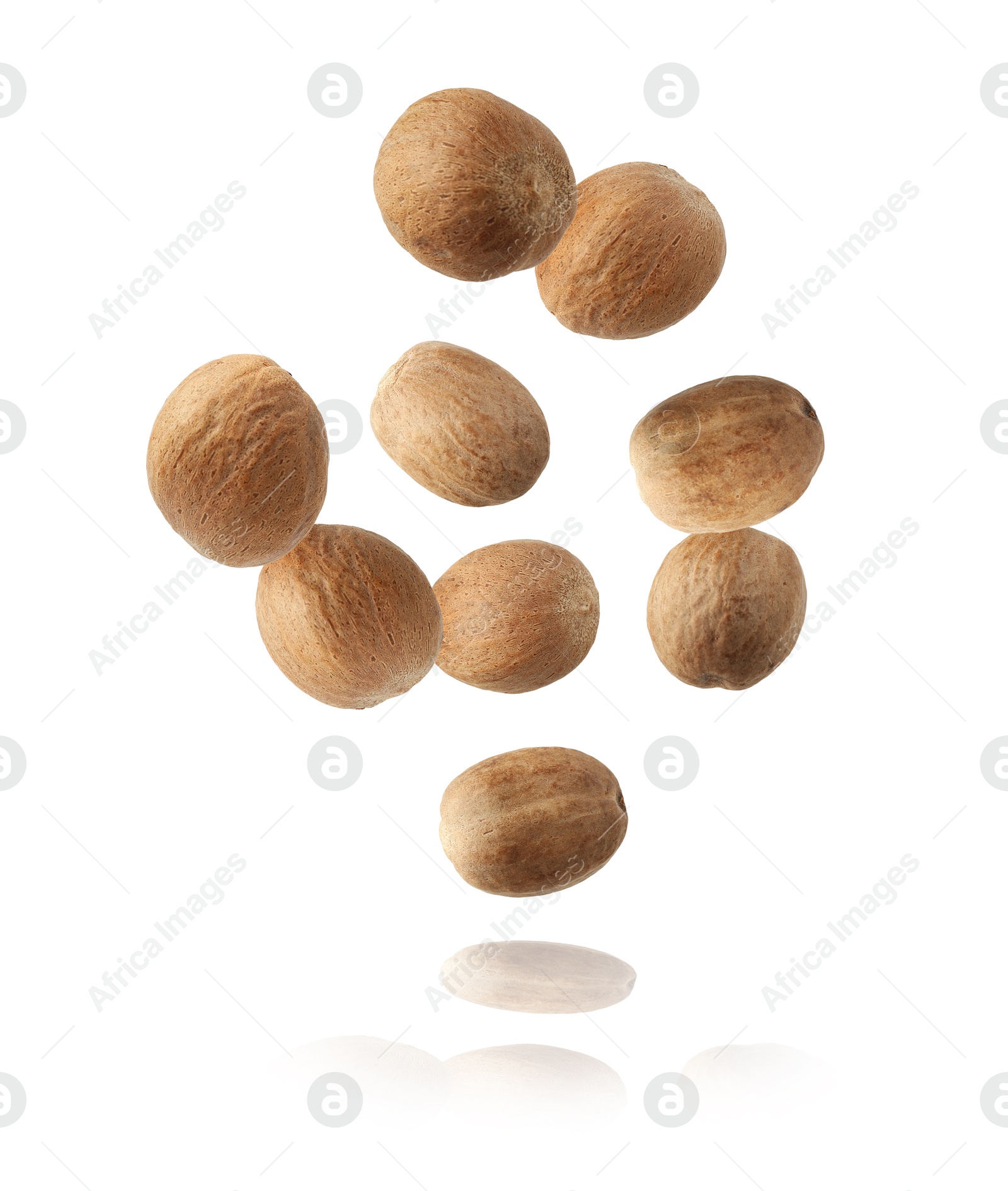 Aromatic nutmeg seeds falling on white background Image of Aromatic nutmeg seeds falling on white background