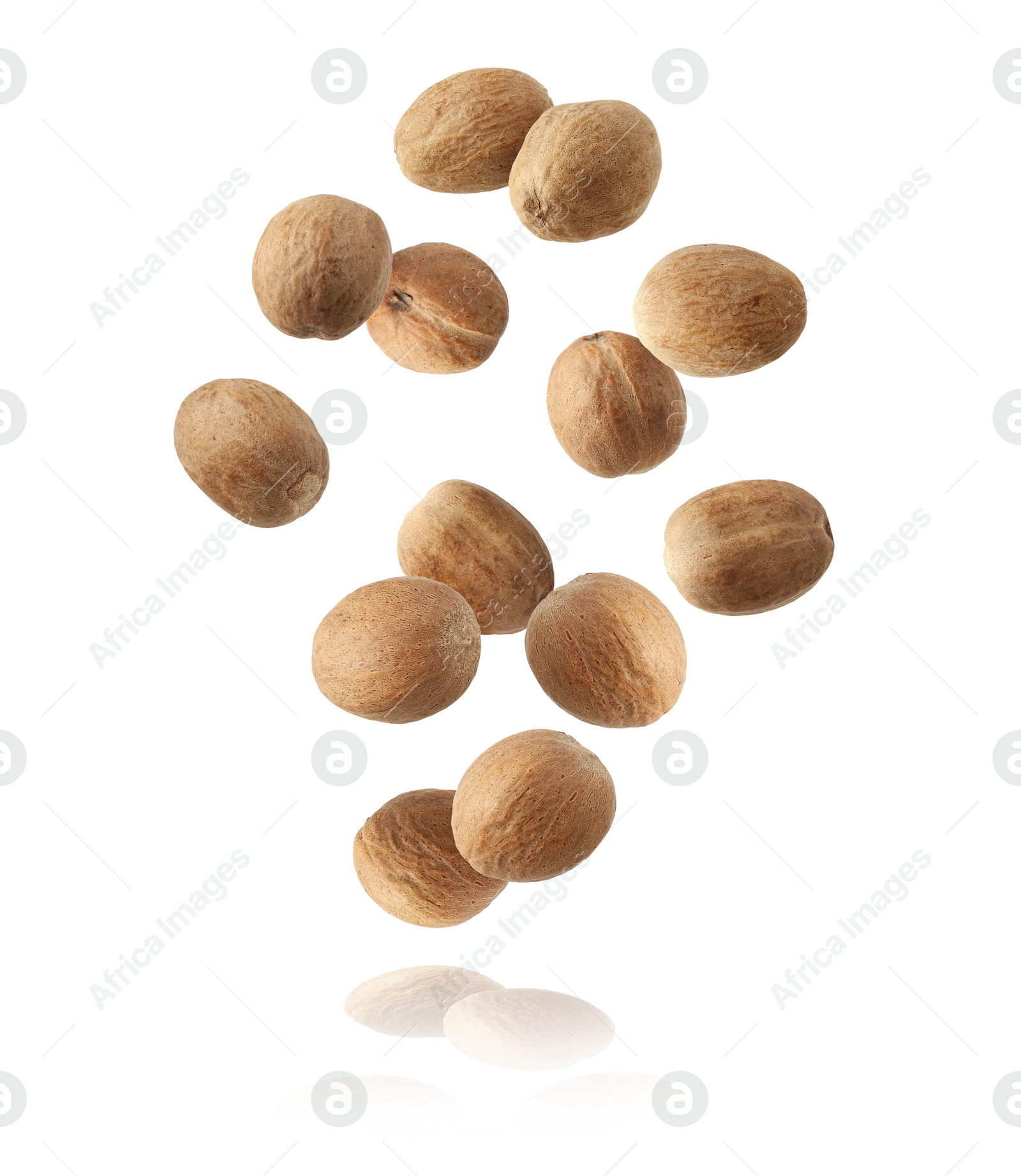 Aromatic nutmeg seeds falling on white background Image of Aromatic nutmeg seeds falling on white background