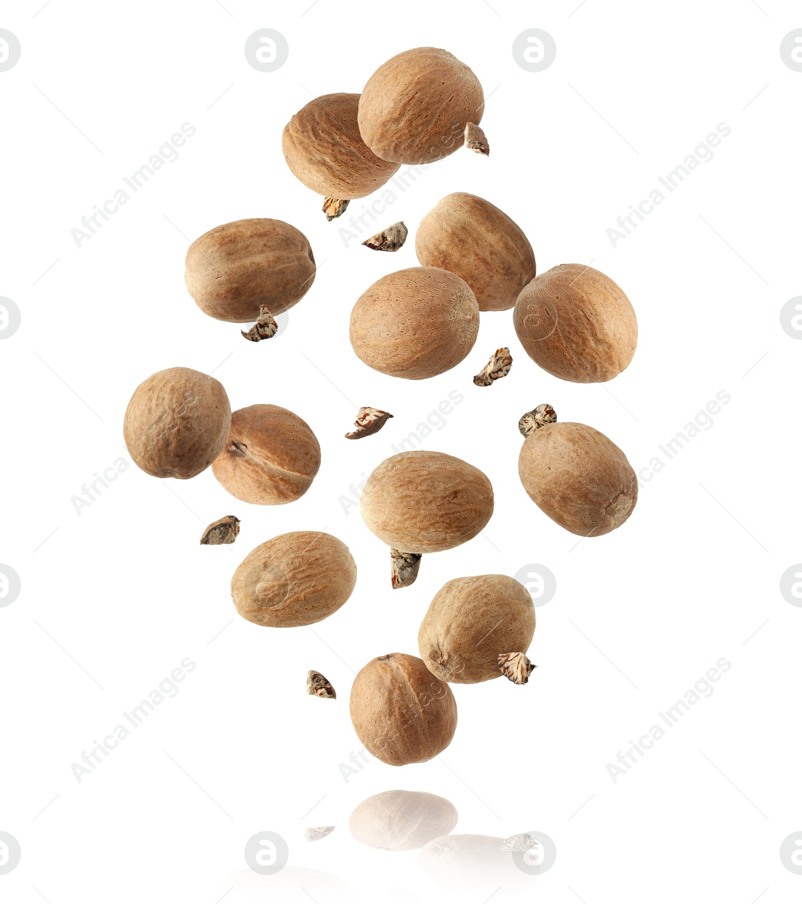Aromatic nutmeg seeds and pieces falling on white background Image of Aromatic nutmeg seeds and pieces falling on white background