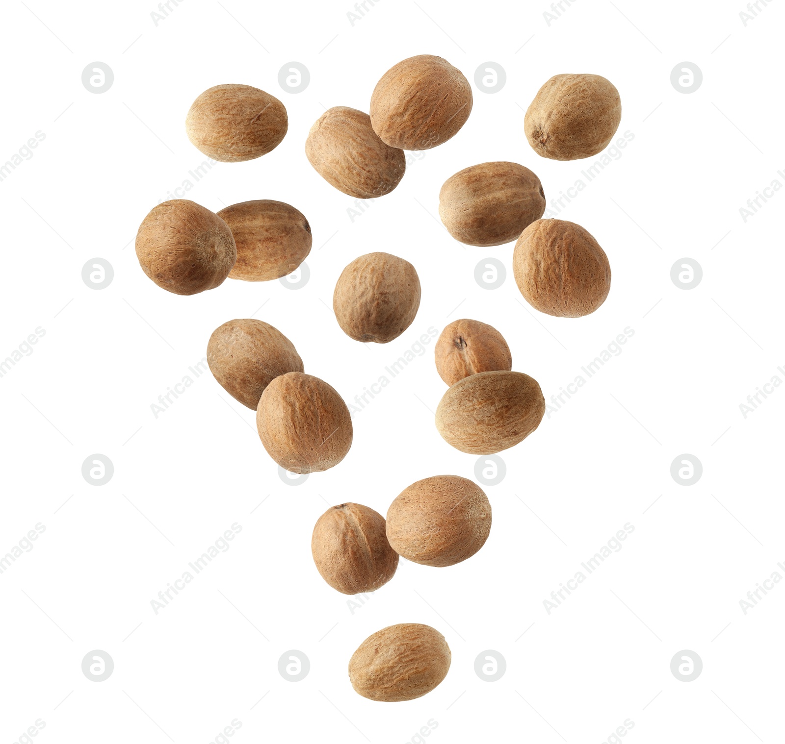 Aromatic nutmeg seeds falling on white background Image of Aromatic nutmeg seeds falling on white background