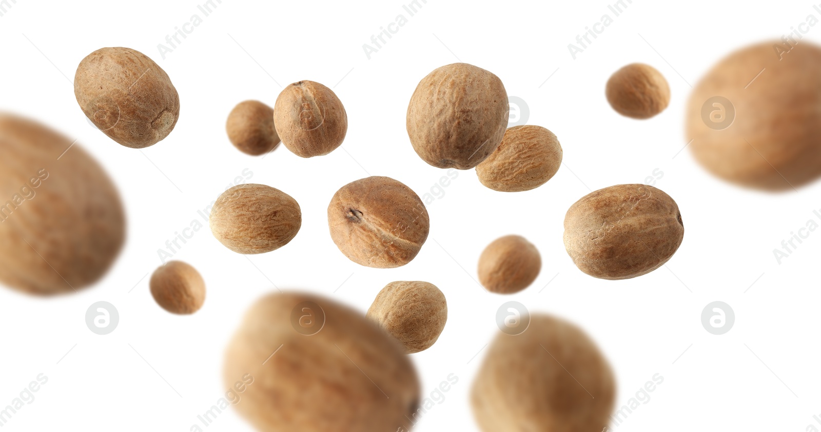 Aromatic nutmeg seeds falling on white background Image of Aromatic nutmeg seeds falling on white background