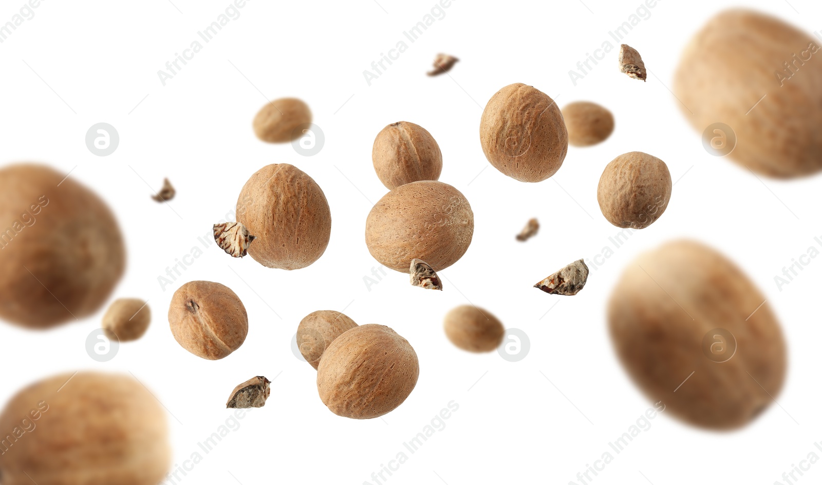 Aromatic nutmeg seeds and pieces falling on white background Image of Aromatic nutmeg seeds and pieces falling on white background
