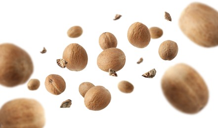 Image of Aromatic nutmeg seeds and pieces falling on white background