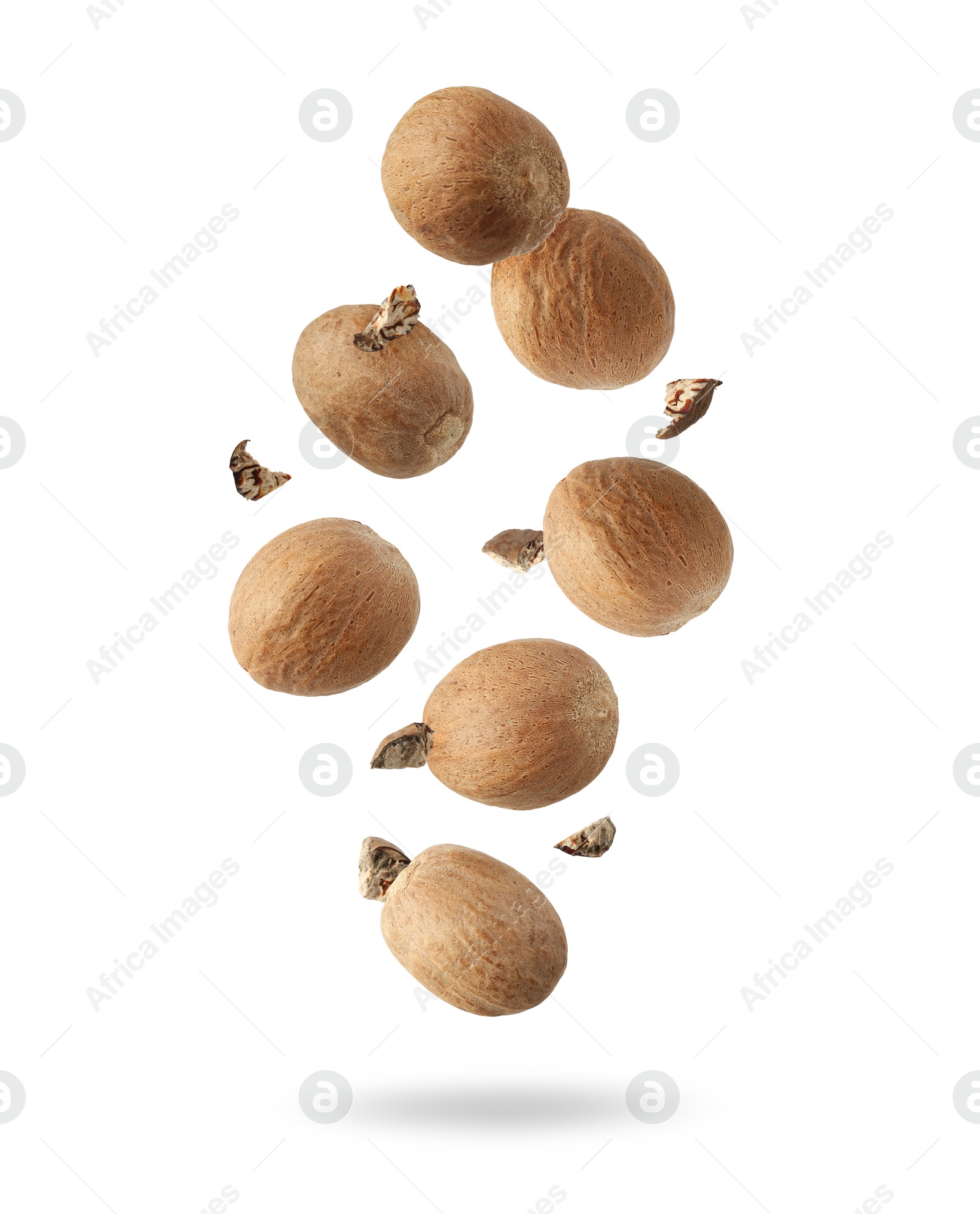 Aromatic nutmeg seeds and pieces falling on white background Image of Aromatic nutmeg seeds and pieces falling on white background
