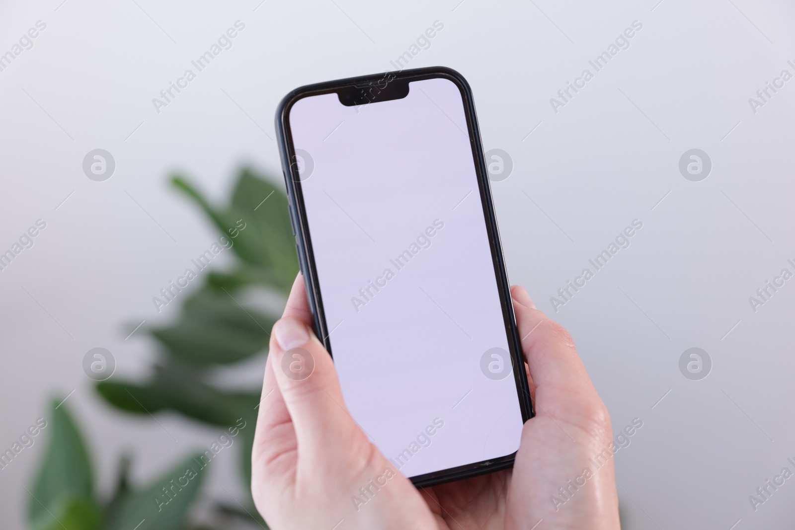 Woman holding smartphone with blank screen on blurred background, closeup. Mockup for design Photo of Woman holding smartphone with blank screen on blurred background, closeup. Mockup for design