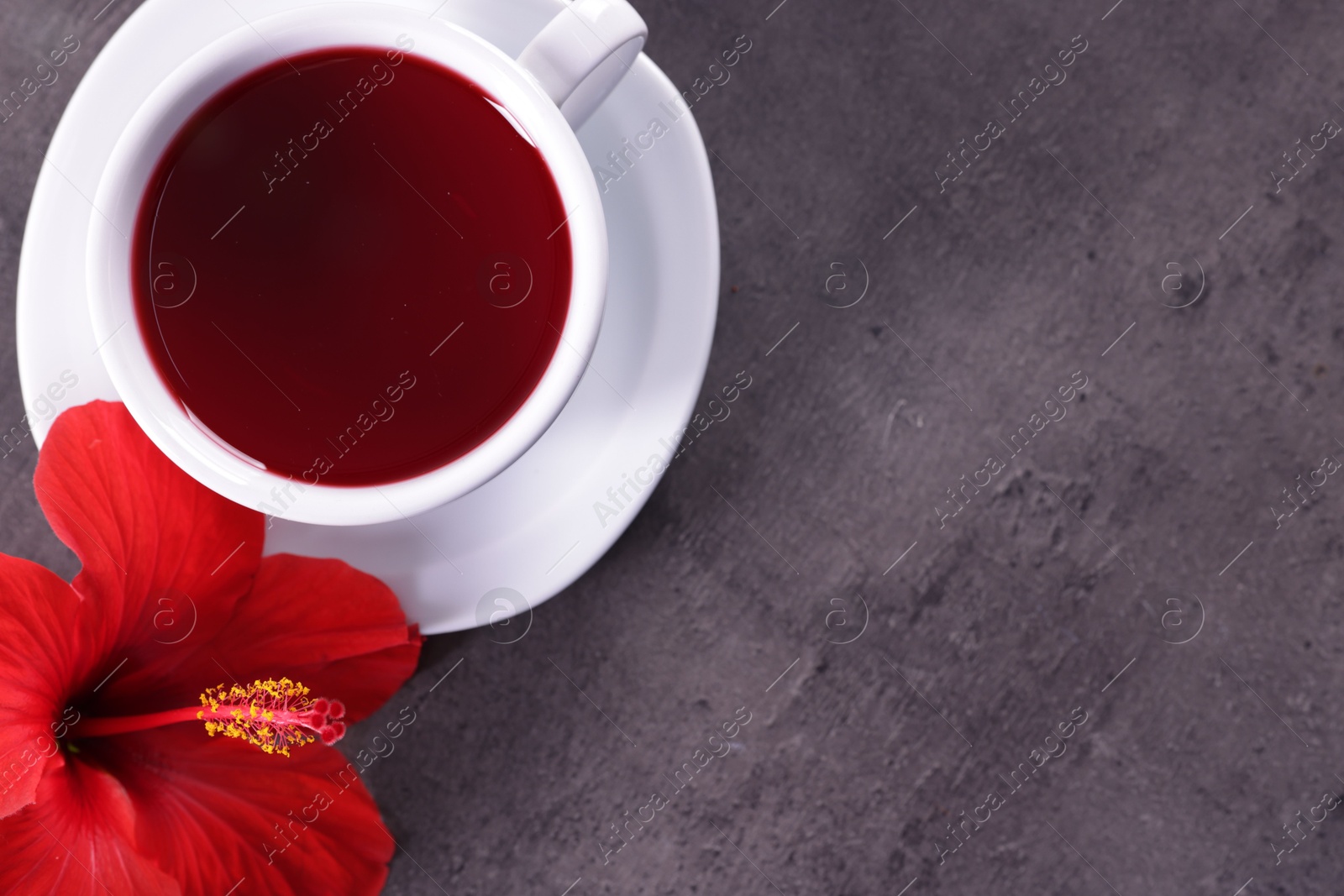 Tasty hibiscus tea in cup and beautiful flower on grey textured table, flat lay. Space for text Photo of Tasty hibiscus tea in cup and beautiful flower on grey textured table, flat lay. Space for text