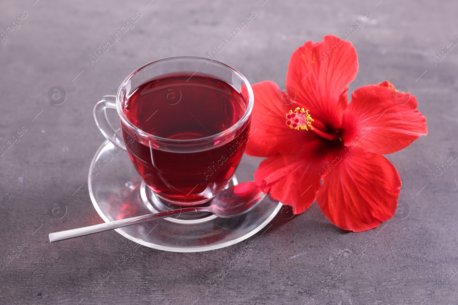 Tasty hibiscus tea in cup and beautiful flower on grey textured table, closeup Photo of Tasty hibiscus tea in cup and beautiful flower on grey textured table, closeup
