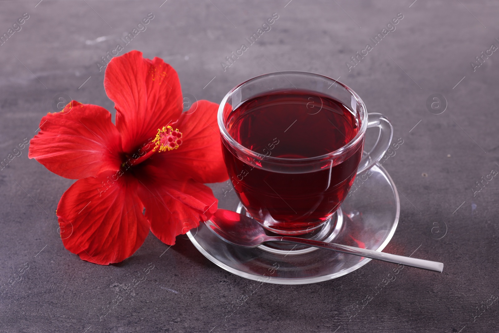 Tasty hibiscus tea in cup and beautiful flower on grey textured table, closeup Photo of Tasty hibiscus tea in cup and beautiful flower on grey textured table, closeup