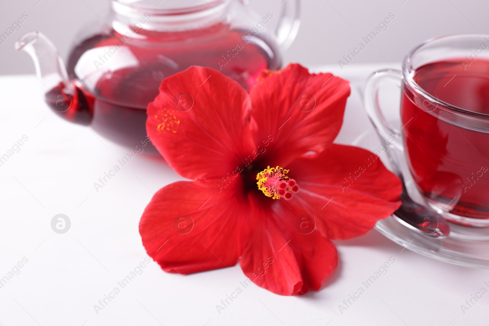 Beautiful flower and tasty hibiscus tea on white table against grey background, closeup Photo of Beautiful flower and tasty hibiscus tea on white table against grey background, closeup
