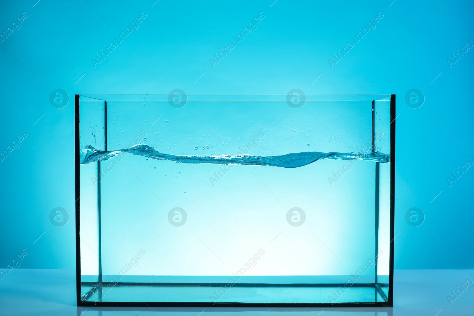 Glass aquarium with splashing water on table against light blue background Photo of Glass aquarium with splashing water on table against light blue background