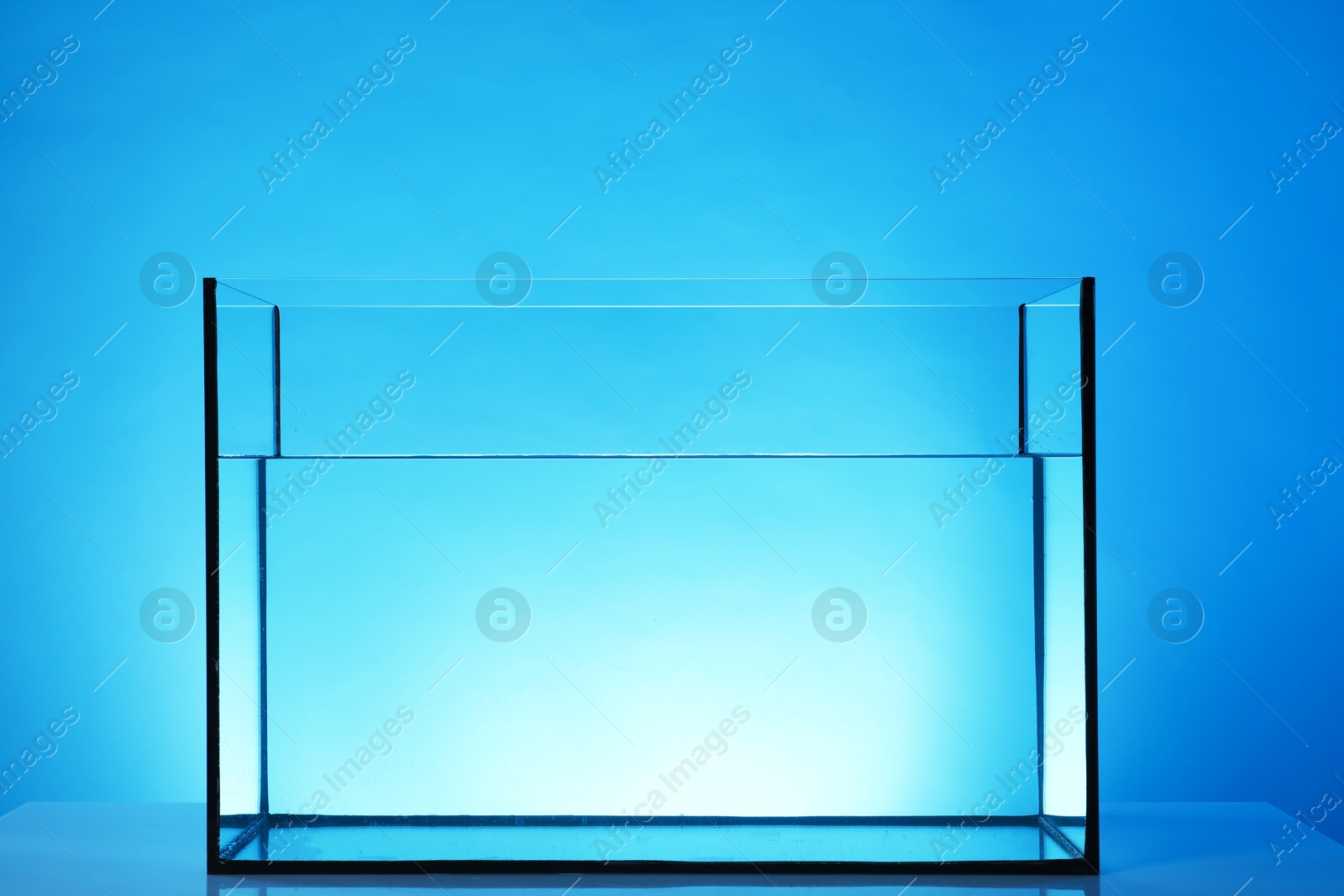 Glass aquarium with water on table against light blue background Photo of Glass aquarium with water on table against light blue background