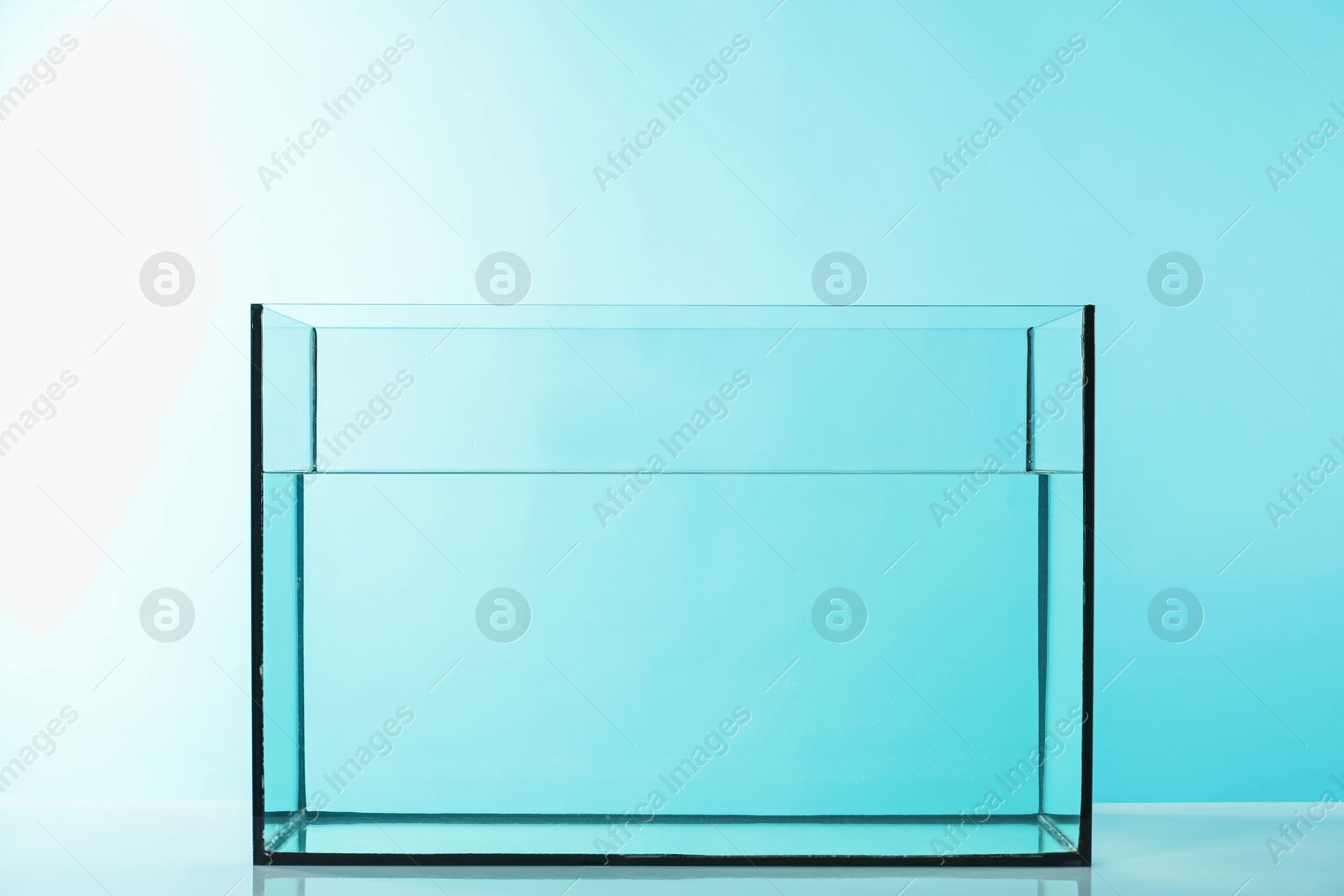 Glass aquarium with water on table against light blue background Photo of Glass aquarium with water on table against light blue background