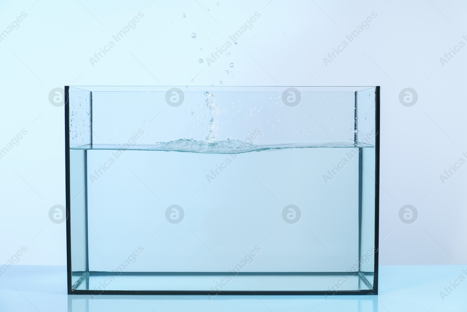 Glass aquarium with splashing water on light background Photo of Glass aquarium with splashing water on light background