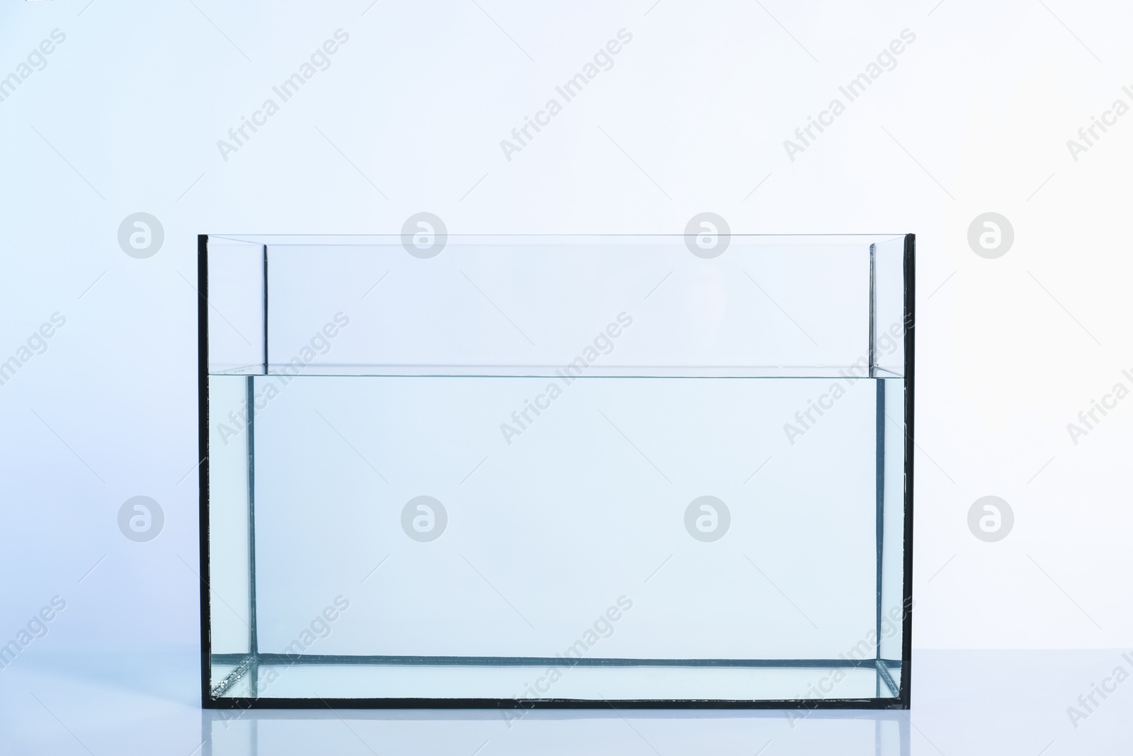 Glass aquarium with water on white background Photo of Glass aquarium with water on white background