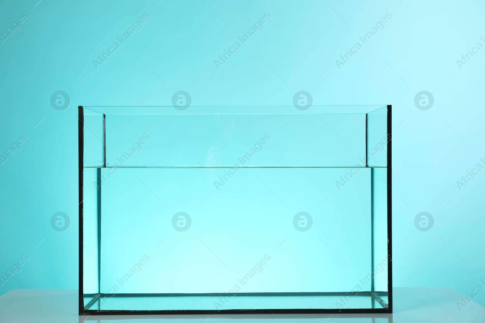 Glass aquarium with water on white table against turquoise background Photo of Glass aquarium with water on white table against turquoise background