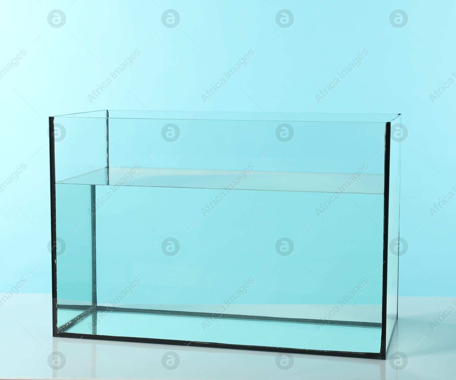 Glass aquarium with water on white table against turquoise background Photo of Glass aquarium with water on white table against turquoise background