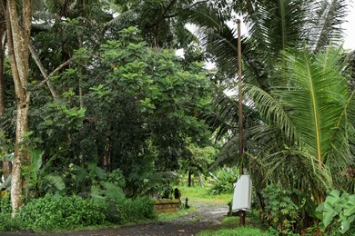 Photo of Pathway and many different green trees outdoors