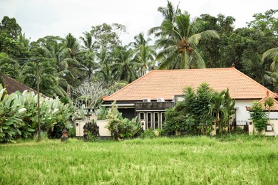 Photo of Building, palms and other green plants outdoors