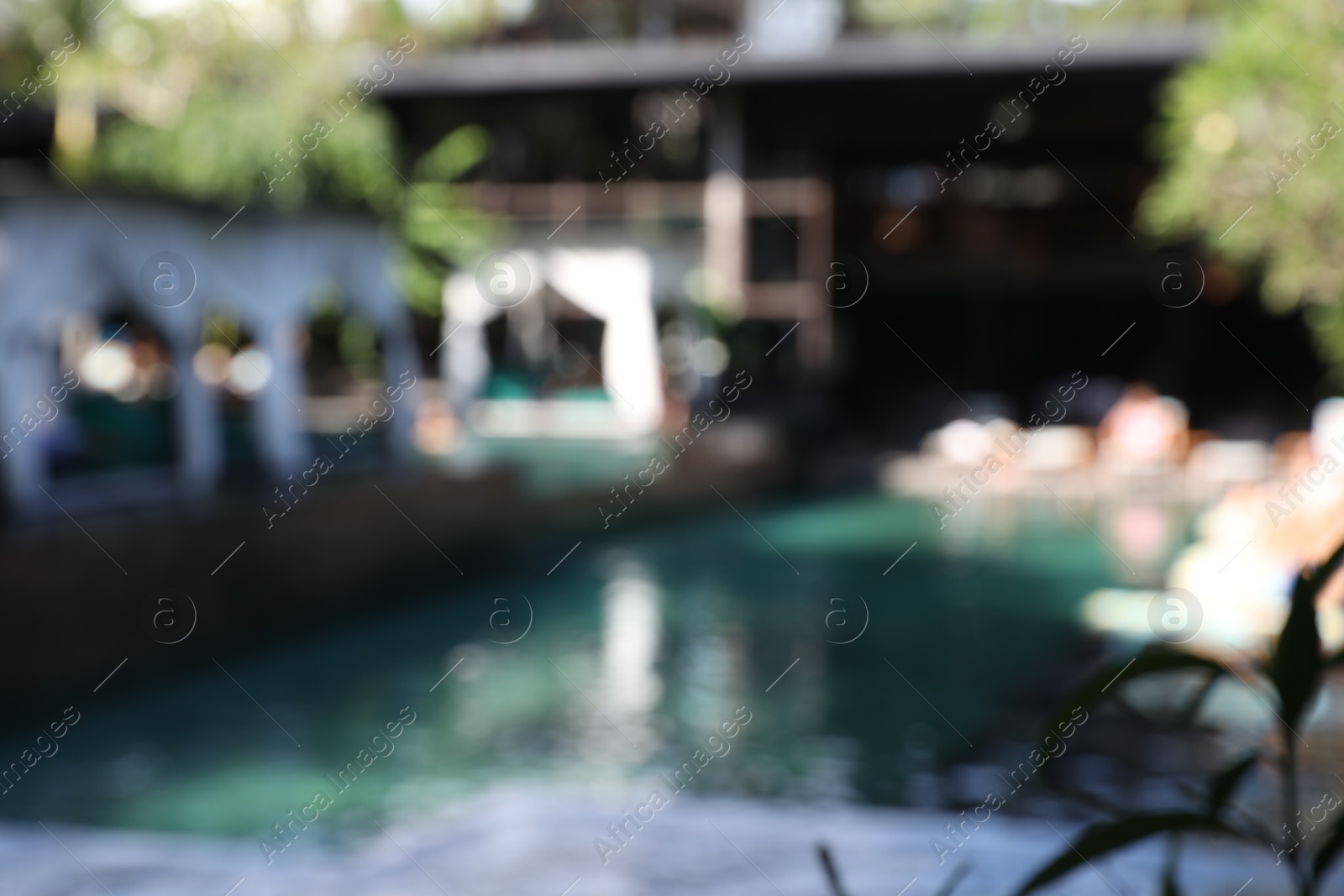 Blurred view of sunbeds and swimming pool outdoors Photo of Blurred view of sunbeds and swimming pool outdoors