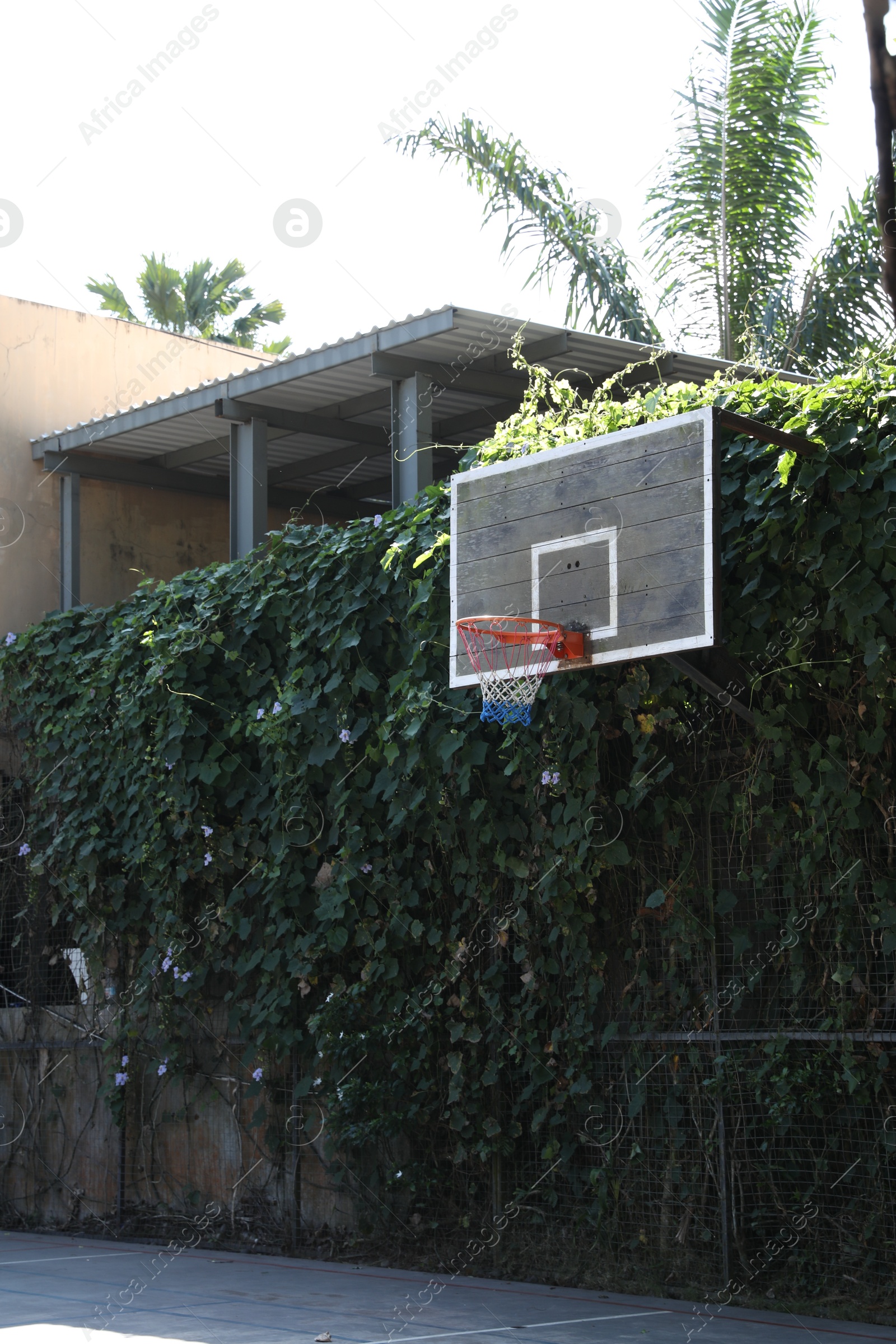 Basketball backboard with net on court outdoors Photo of Basketball backboard with net on court outdoors